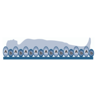 Alerta Bubble 2 Overlay Pressure Mattress Alerta Bubble 2 Overlay Pressure Mattress