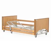 Alerta Lomond Low Electric Profiling Bed