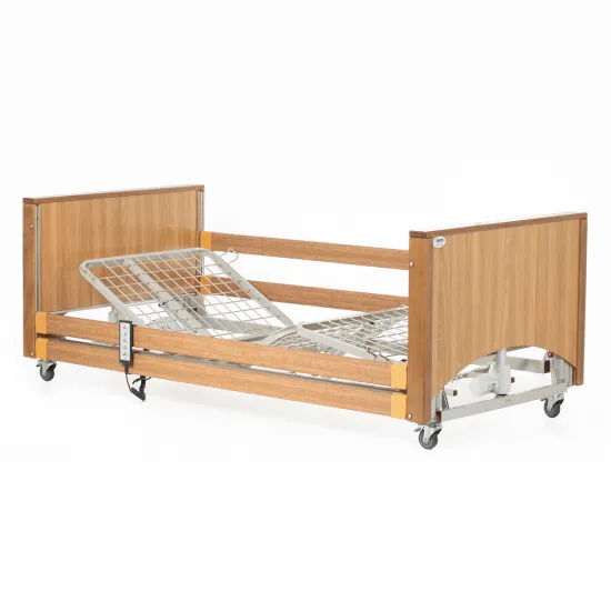 Alerta Lomond Low Electric Profiling Bed