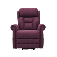 Dallux Nevis Standard Chair in rose Front