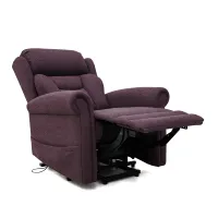Dallux Nevis Standard Chair in rose leg raised