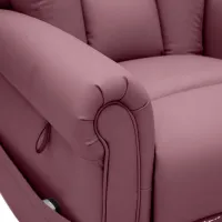 Riser Recliner for Care Homes - Dallux Nevis Grande Chair armrest