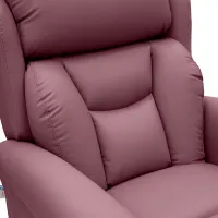Riser Recliner for Care Homes - Dallux Nevis Grande Chair Back support