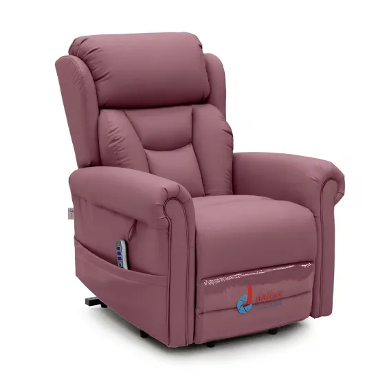 Riser Recliner for Care Homes - Dallux Nevis Grande Chair side