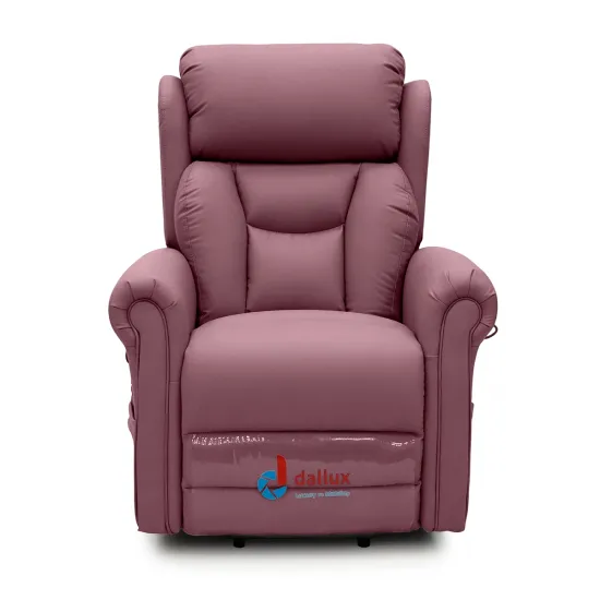 Riser Recliner for Care Homes - Dallux Nevis Grande Chair front