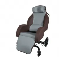Drive Selectis Shell Seat