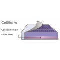 Celliform – Gelacell 