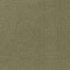 Nevis Olive 