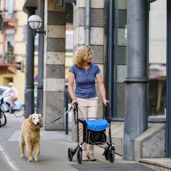 Sunrise Gemino Carbon Rollator