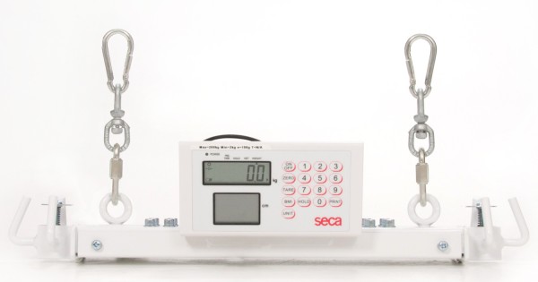 Seca pointer scale, Off-white