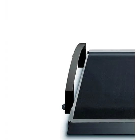 seca-685-multifunctional-handrail-and-wheelchair-scale-for-safe-and-precise-patient-weighing-side-rails