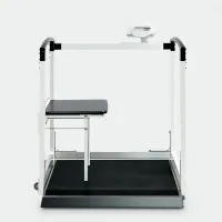 seca-685-multifunctional-handrail-and-wheelchair-scale-for-safe-and-precise-patient-weighing