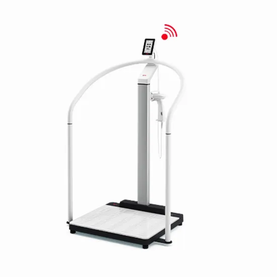 seca-scale-up-with-handrail-kg-lbs-option