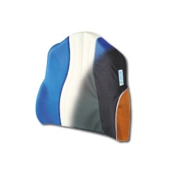 Back Support Cushion 